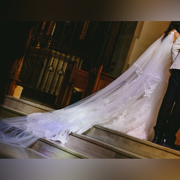 Pronovias Wedding Dress (US 4) - Picture 4 of 11